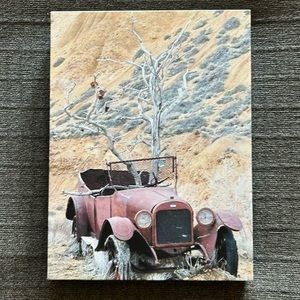 5 for $20! 12x9in canvas print